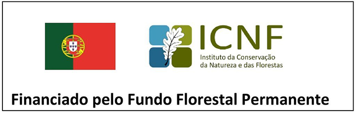 icnf1 1 1024 2500 1 1024 2500