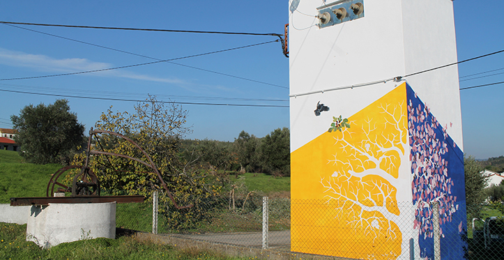 O Campo de Carlos Vicente nas Limeiras